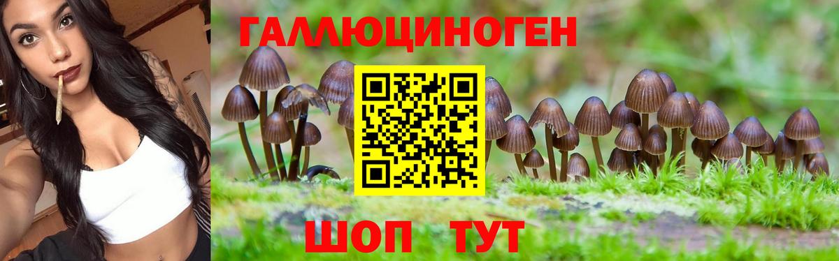 Псилоцибиновые грибы Cubensis  Вход с VPN  Красноярск  Псилоцибиновые грибы MAGIC MUSHROOMS 